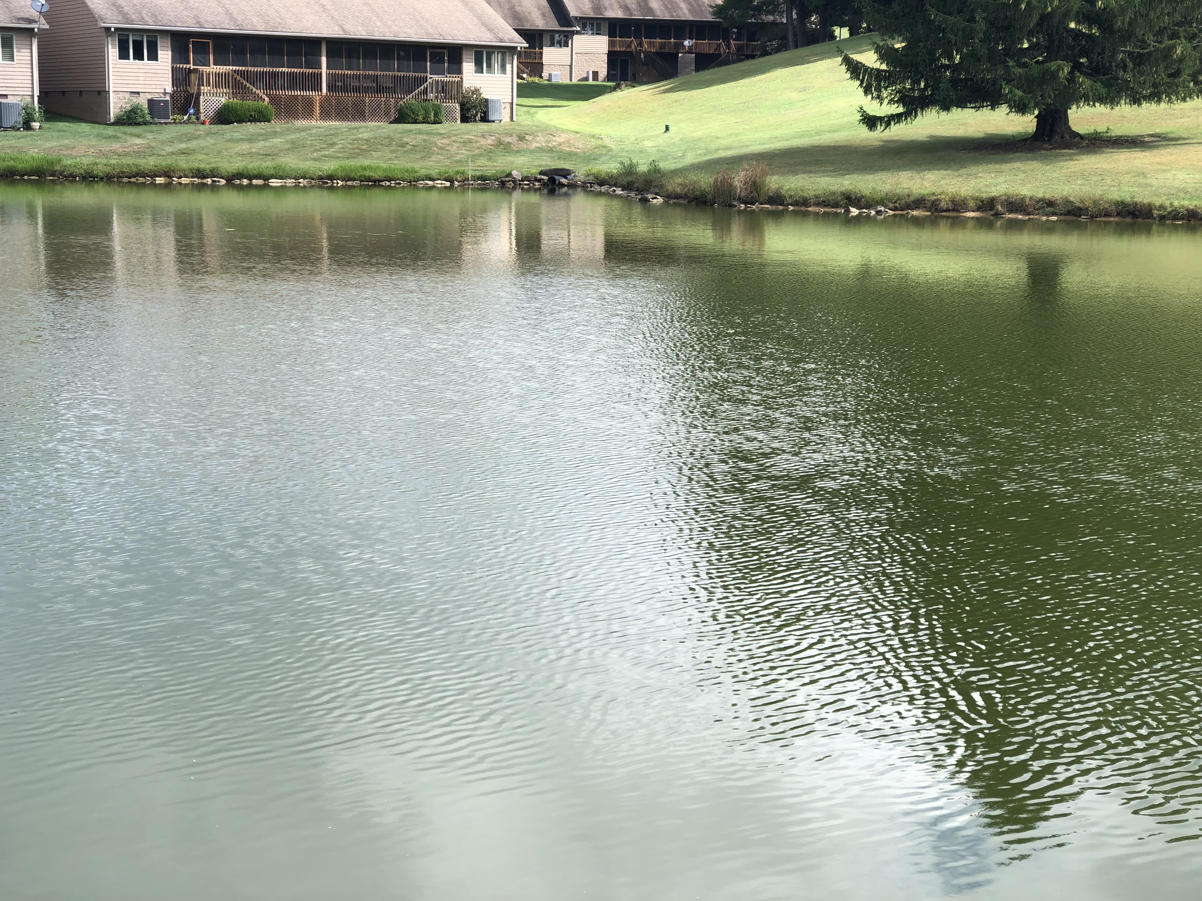 IMG_pond